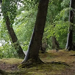 Photo n°1 de l'avis de marina.i fait le 24/06/2018 à 16:34 sur le  Luisenhof Restaurant und Hotel à Stechlin