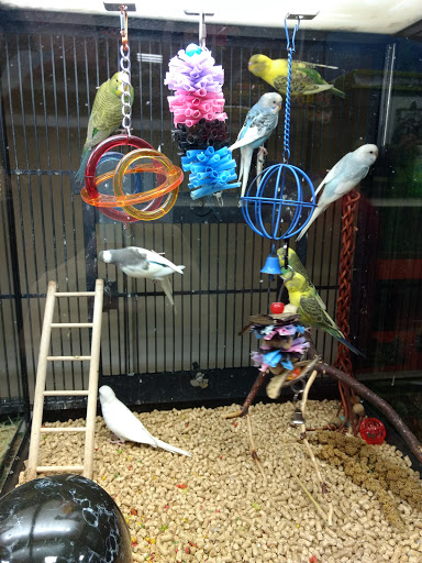 Pet Supply Store «PetSmart», reviews and photos, 1801 Howell Mill Rd NW, Atlanta, GA 30318, USA