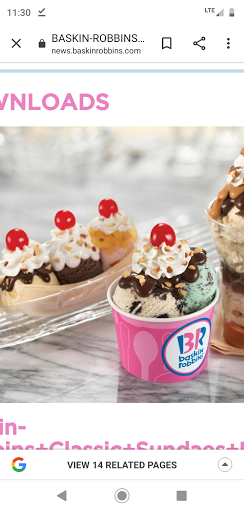 Baskin-Robbins