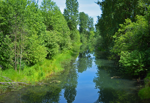 Columbia Slough