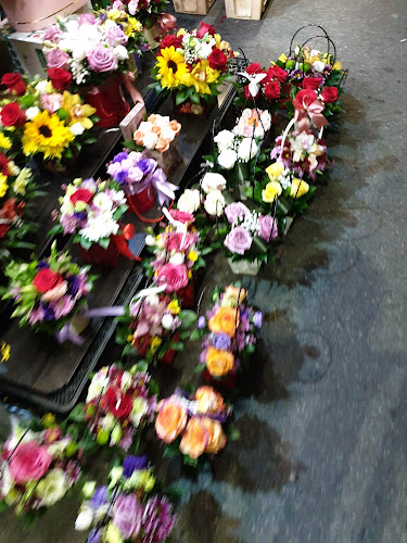 Opinii despre Piața de flori "Rotonda" în <nil> - Florărie
