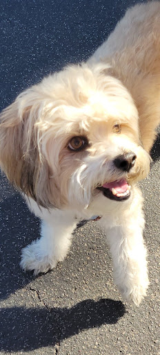 Pet Supply Store «Pet Supply», reviews and photos, 18545 Brookhurst St, Fountain Valley, CA 92708, USA