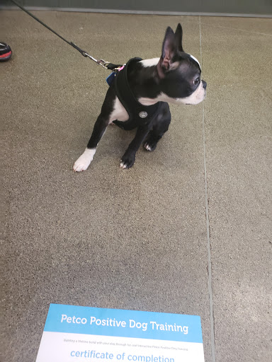 Pet Supply Store «Petco Animal Supplies», reviews and photos, 7215 170th Ave NE #115, Redmond, WA 98052, USA