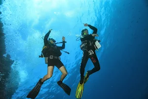 Go-Diving, School Diving Padi À Sion image