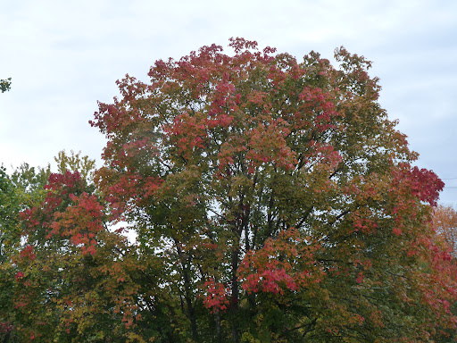 Hiking Area «Pocono Environmental Education Center», reviews and photos, 538 Emery Rd, Dingmans Ferry, PA 18328, USA