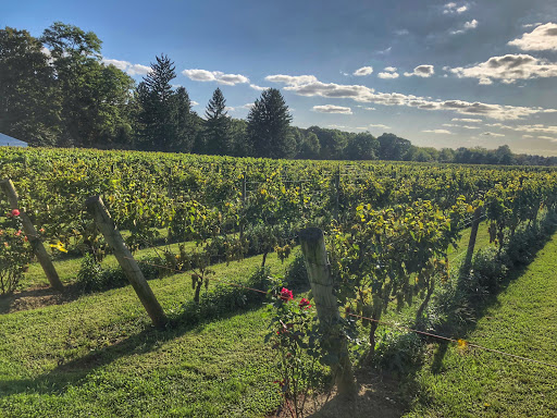 Vineyard «Crossing Vineyards and Winery», reviews and photos, 1853 Wrightstown Rd, Newtown, PA 18940, USA