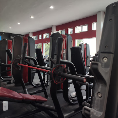 Red Lion Fitness - Apolinar García 301, Centro, 70805 Miahuatlán de Porfirio Díaz, Oax., Mexico