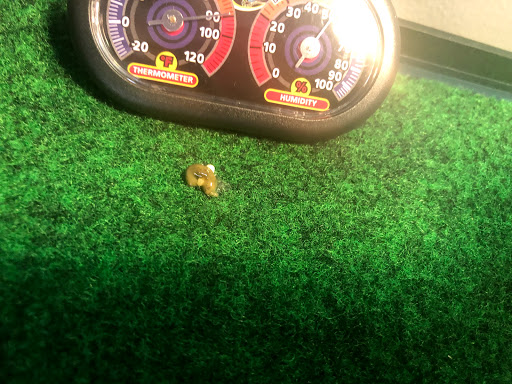 Pet Supply Store «Pet Supplies Plus», reviews and photos, 7954 Brewerton Rd #400, Cicero, NY 13039, USA