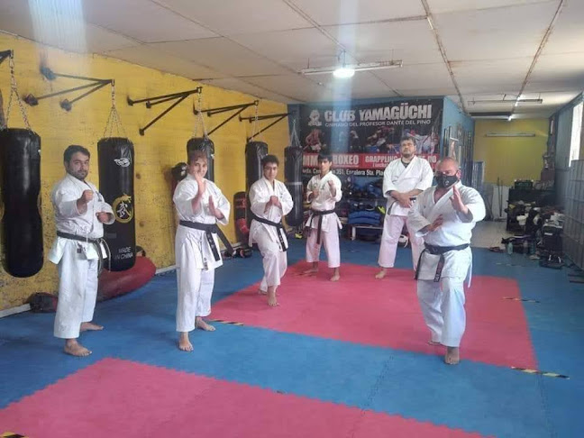 Opinii despre Club Yamaguchi în San Antonio - Gimnasio