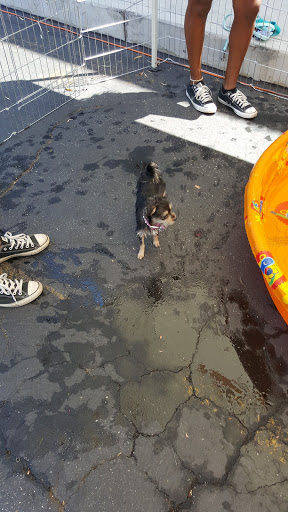 Pet Supply Store «Unleashed by Petco», reviews and photos, 600 Redondo Ave, Long Beach, CA 90814, USA