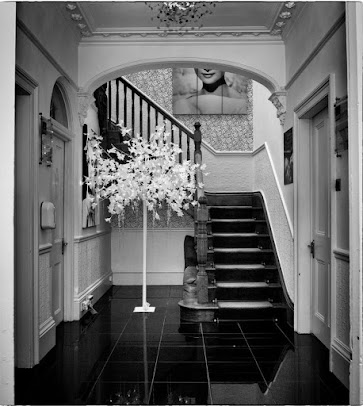 الثقة بالأسنان - Dental Confidence