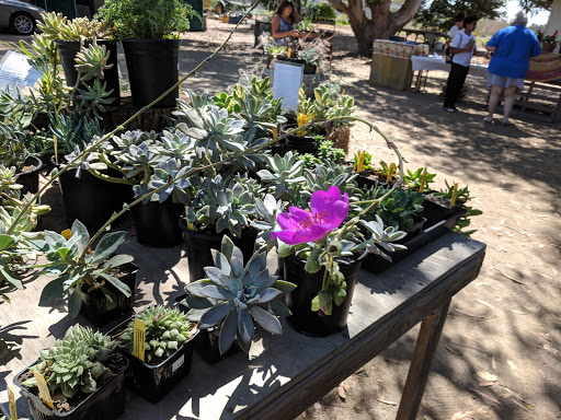 Growing Grounds Farm Santa Maria image