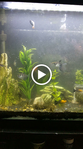 Pet Supply Store «PetSmart», reviews and photos, 3665 Marketplace Blvd, East Point, GA 30344, USA