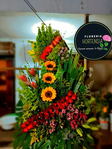 Floreria Hortensia – Miramar