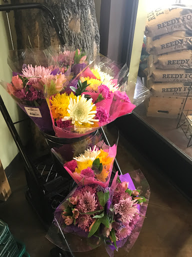 Natural Foods Store «Deep Roots Market», reviews and photos, 600 N Eugene St, Greensboro, NC 27401, USA