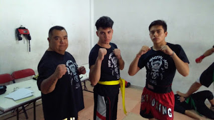 YEE Martial Arts - Artes Marciales Mixtas - Kickboxing