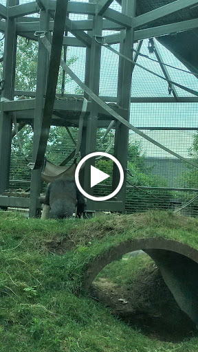 Water Park «Zoombezi Bay», reviews and photos, 10101 Riverside Dr, Powell, OH 43065, USA