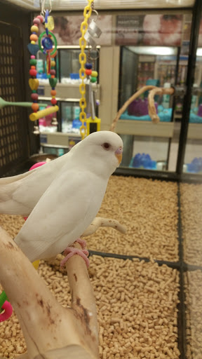 Pet Supply Store «PetSmart», reviews and photos, 104 Andover St, Danvers, MA 01923, USA