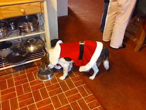 Shopping Mall «Plymouth Square Shopping Center», reviews and photos, 200 Ridge Pike, Conshohocken, PA 19428, USA