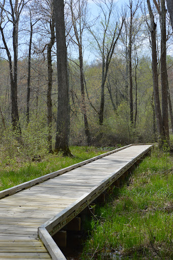 National Forest «Land Between the Lakes National Recreation Area», reviews and photos, 238 Visitor Center Dr, Golden Pond, KY 42211, USA