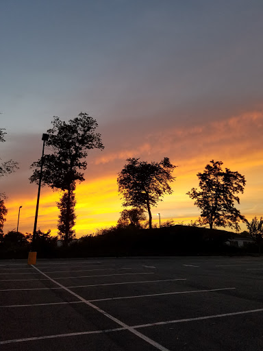 Department Store «Walmart Supercenter», reviews and photos, 6265 Brockport Spencerport Rd, Brockport, NY 14420, USA