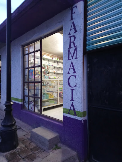 Farmacia Barrales Pino Suarez 13, Centro, Nopala, Hgo. Mexico