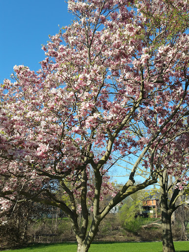 Museum «Curwood Castle Museum», reviews and photos, 224 Curwood Castle Dr, Owosso, MI 48867, USA