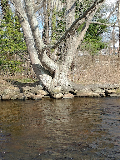 Park «Acushnet Sawmill», reviews and photos, 32 Mill Rd, Acushnet, MA 02743, USA