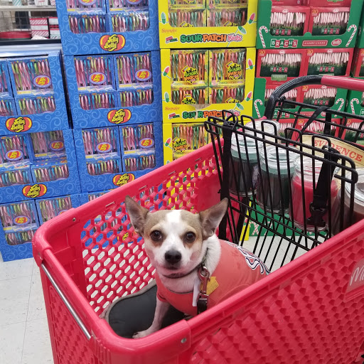 Craft Store «Michaels», reviews and photos, 346 NY-25A Ste 40, Rocky Point, NY 11778, USA