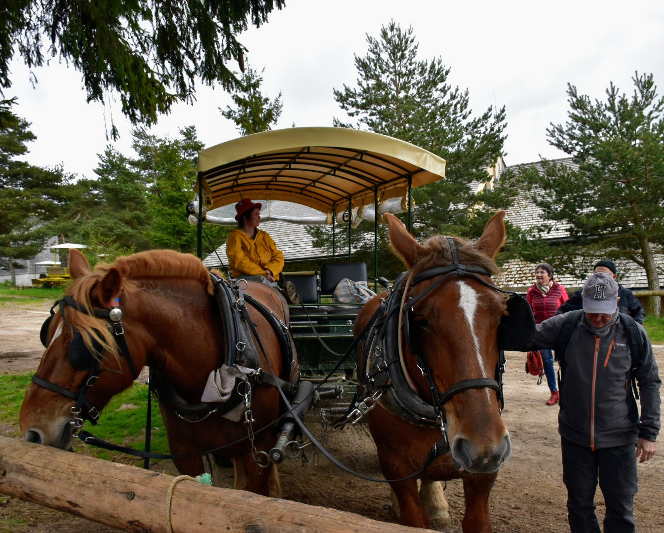 Photo n° 2 de l'avis de Muriel.e fait le 09/05/2023 à 12:53