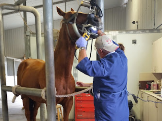 Cibolo Valley Animal Hospital