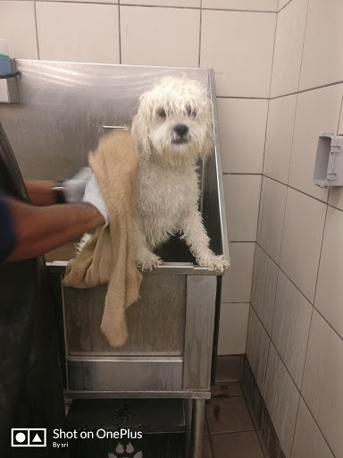 Pet Supply Store «Pet Supplies Plus», reviews and photos, 10 Glenridge Rd #3, Glenville, NY 12302, USA