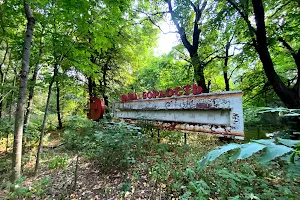 State Agency of Ukraine on Exclusion Zone Management image