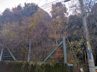 見返り岩