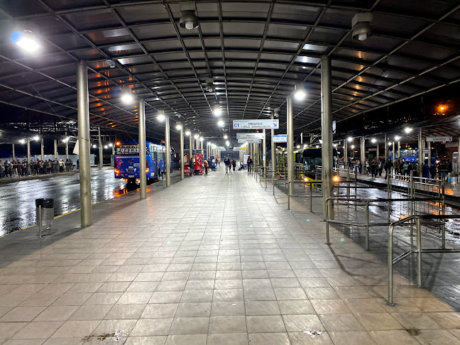 Opiniones de Terminal de La Ofelia en Quito - Servicio de transporte