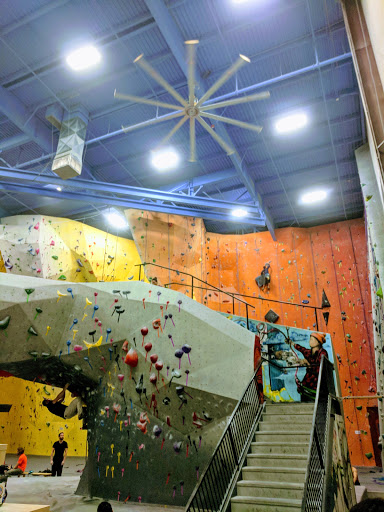 Rock Climbing «Planet Rock Climbing Gym», reviews and photos, 1103 W 13 Mile Rd, Madison Heights, MI 48071, USA