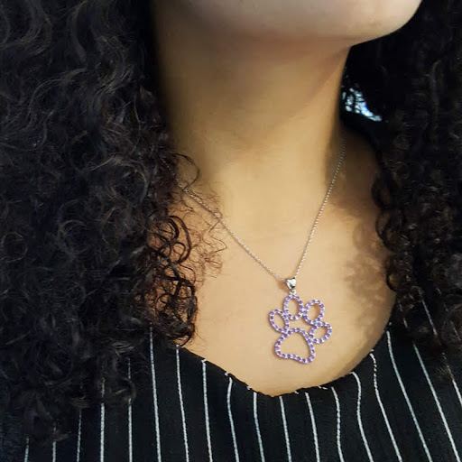 Jeweler «Sami Fine Jewelry & Unique Gifts», reviews and photos, 16704 E Ave of the Fountains #100, Fountain Hills, AZ 85268, USA