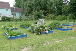 Harriet's Garden