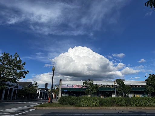 Photo of Thomas J ONeill Inc.