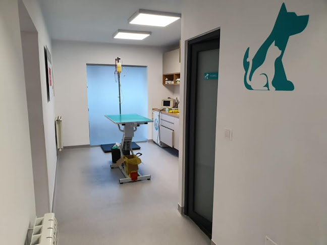 Opinii despre Cremvet Cabinet Veterinar Turda. Chirurgie Veterinara, Analize Veterinare, Microcipare Caini, Deparazitare, Sterilizari Caini, Pisici. Veterinar, Frizerie Canina, Cosmetica Canina Turda în <nil> - Veterinar