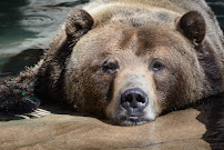 Frame the Moment Photography - Photo 3 - Car repair in , Highlands Ranch