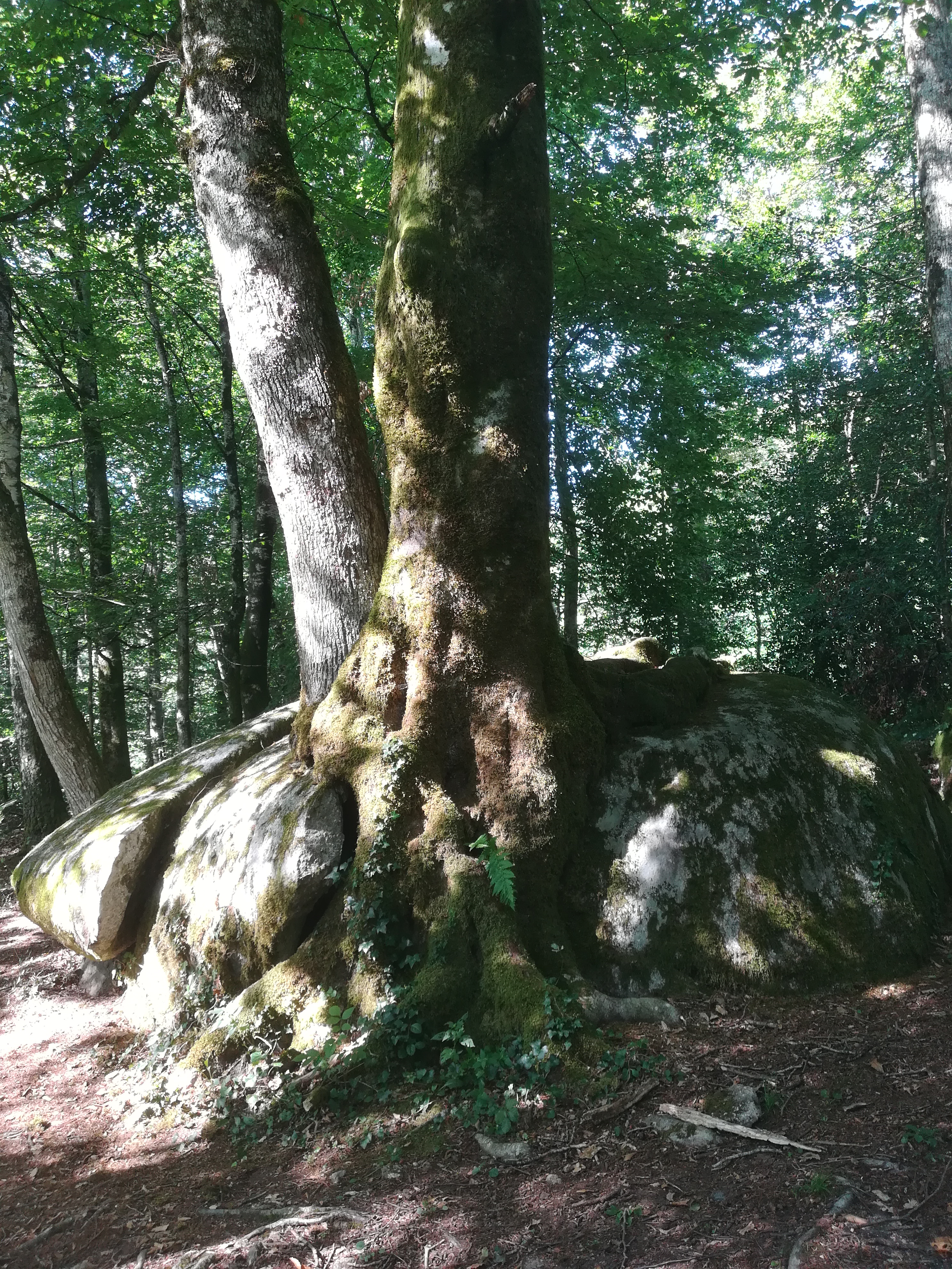 Photo n° 3 de l'avis de Cédric.o fait le 17/08/2019 à 15:52