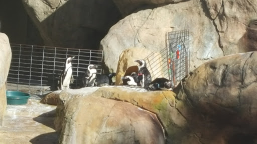 Zoo «NEW Zoo & Adventure Park», reviews and photos, 4378 Reforestation Rd, Green Bay, WI 54313, USA