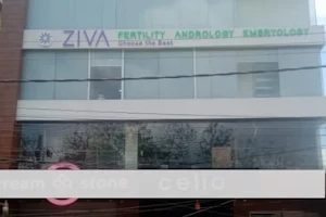 Ziva Embryology and Fertility Institute image