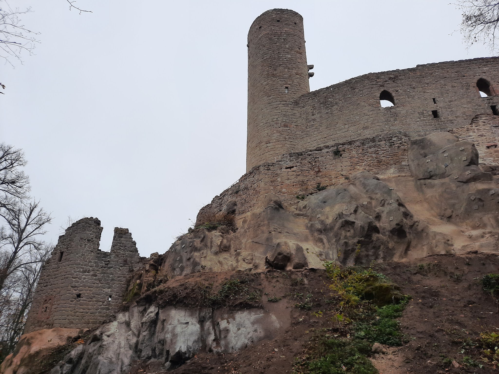 Photo n° 2 de l'avis de Cédric.O fait le 15/11/2021 à 19:45