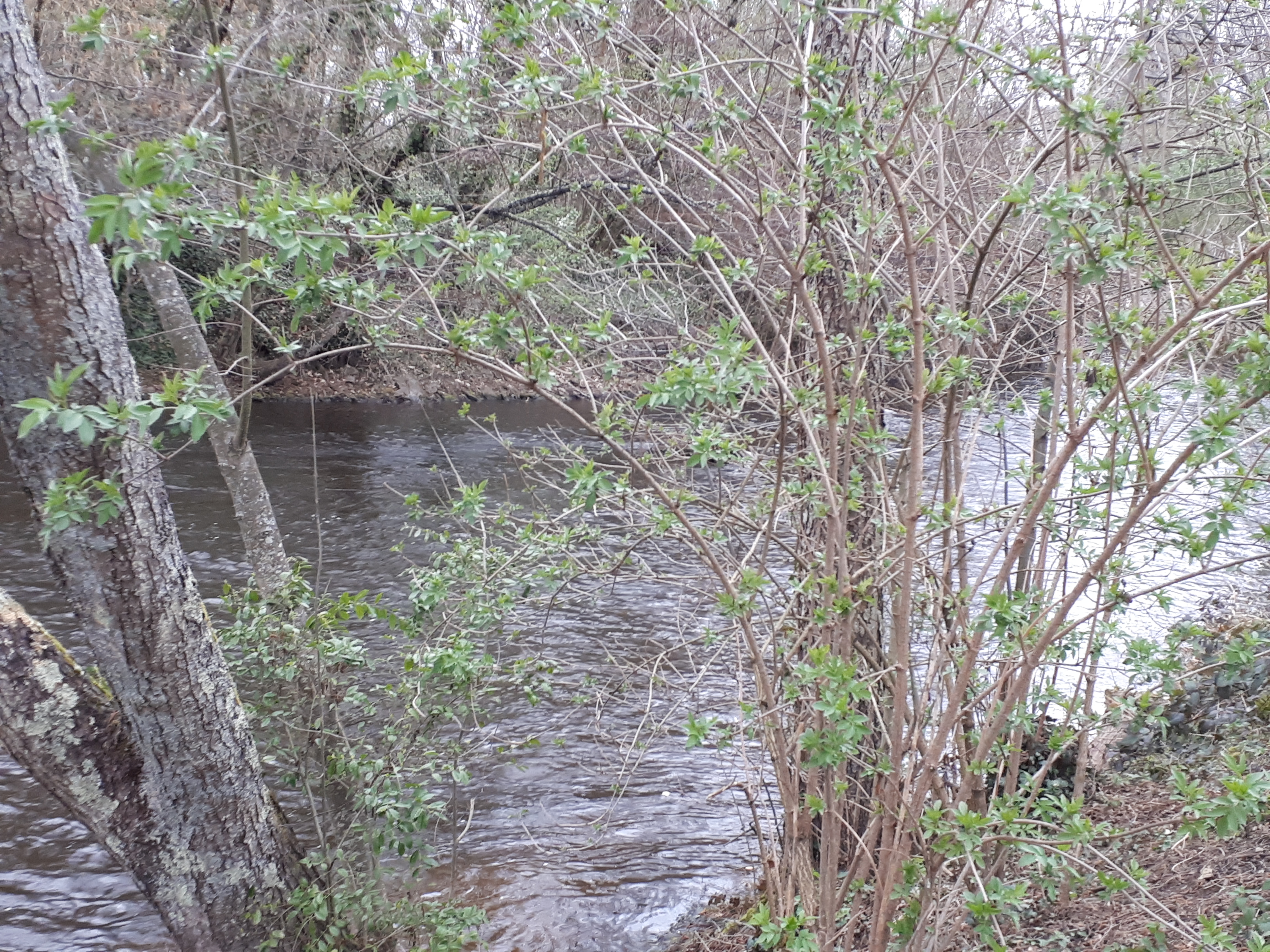 Photo n° 1 de l'avis de françoise.t fait le 24/04/2019 à 14:54
