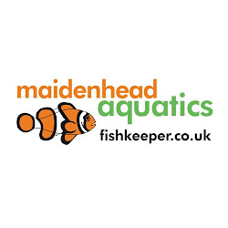 Maidenhead Aquatics Pyle