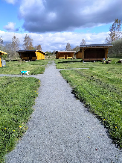 Kollund Hundeskov - Naturuniverset