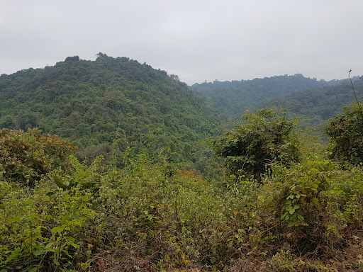 Bosque Protector Cerro Blanco
