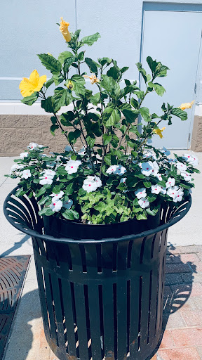 Pet Supply Store «PetSmart», reviews and photos, 6106 Shops Way, Northborough, MA 01532, USA